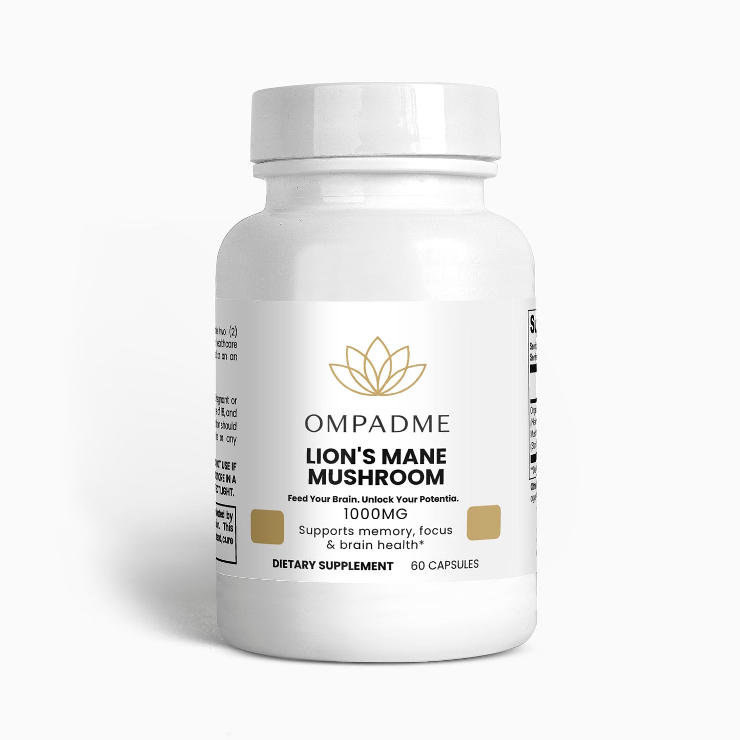 Lion’s Mane Mushroom – Mind & Memory Power