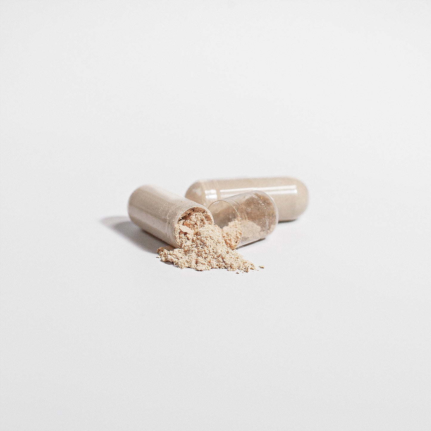 Lion’s Mane Mushroom – Mind & Memory Power