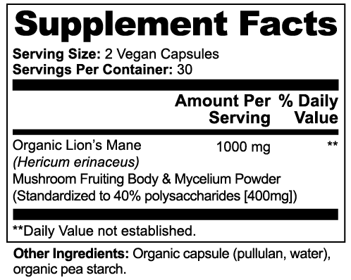 Lion’s Mane Mushroom – Mind & Memory Power