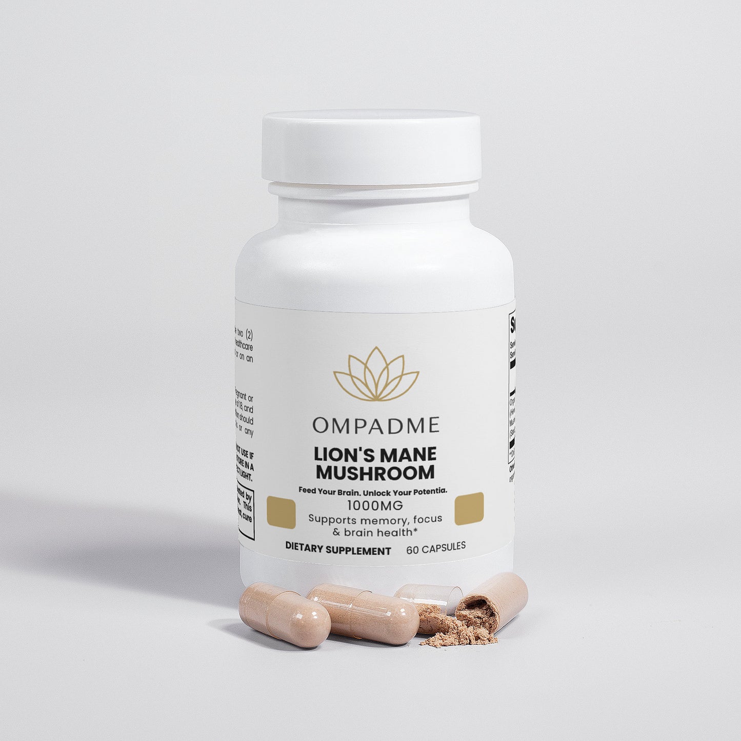 Lion’s Mane Mushroom – Mind & Memory Power
